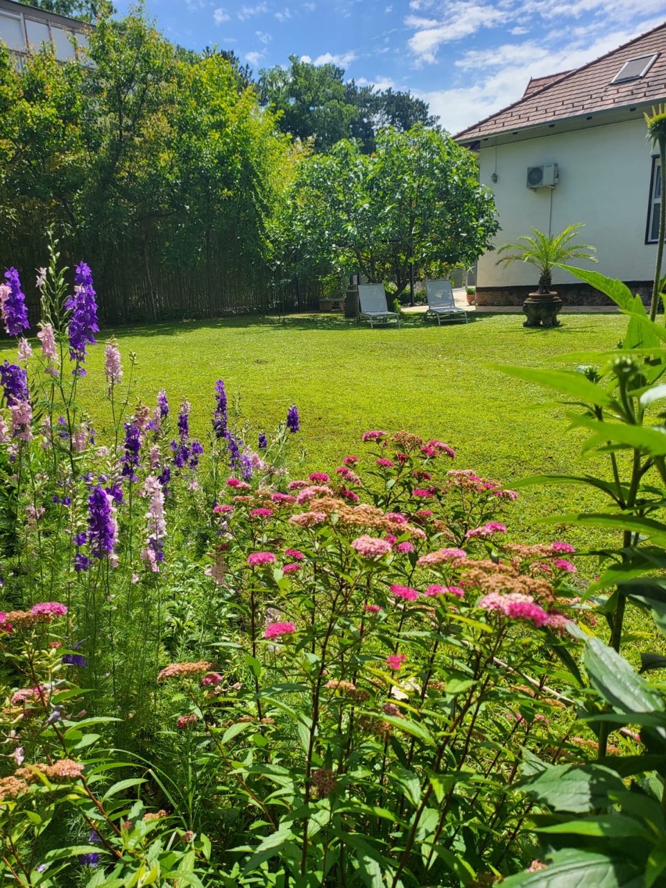 Grüner Garten mit Sonnenliegen und Blumen an der Krisztina Villa