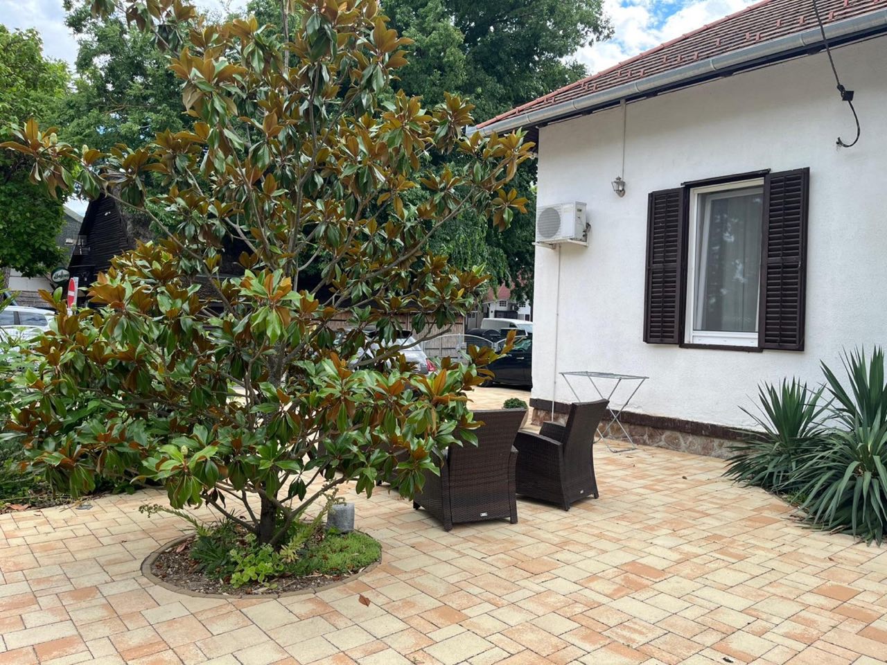 Innenhof mit Magnolienbaum und Gartensitzgruppe
